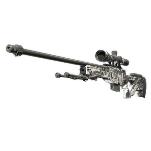 AWP | The End (Well-Worn)