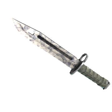 ★ Bayonet | Stained (Well-Worn)