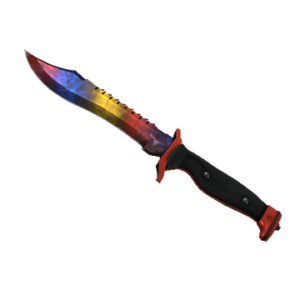 ★ Bowie Knife | Marble Fade (Factory New)