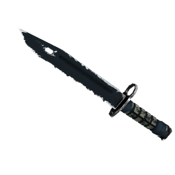 ★ StatTrak™ Bayonet | Night (Well-Worn)