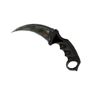 ★ StatTrak™ Karambit | Forest DDPAT
